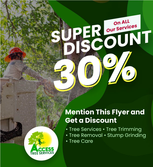 Get a 30% Discount on All Our Services