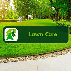 Lawn Care Service - Homepage