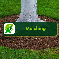 Mulching Service - Homepage