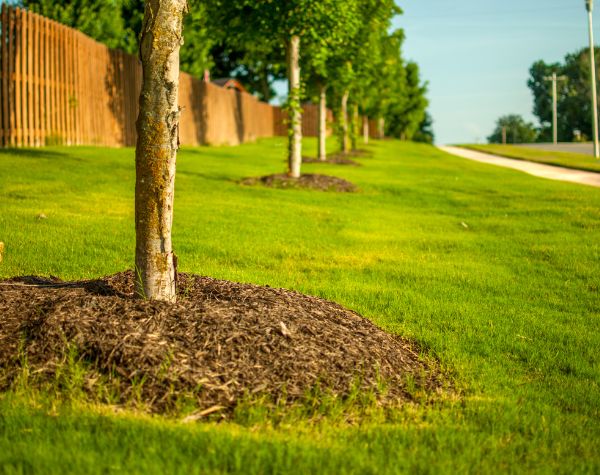 Mulching