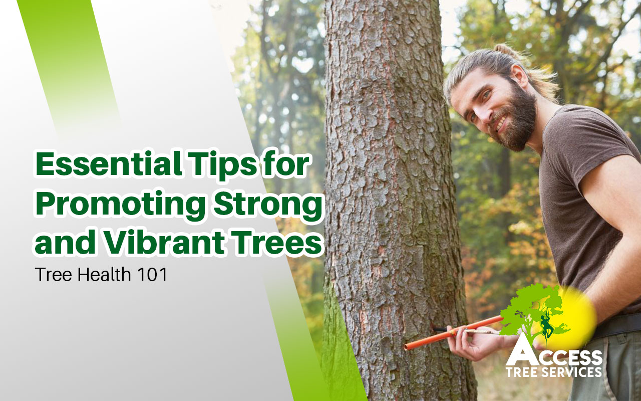 tree Health & Vitality: Essential Care Tips