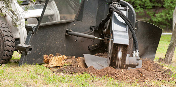 Unlock the Hidden Potential of Your Landscape with Expert Stump Grinding Services in Baltimore, MD