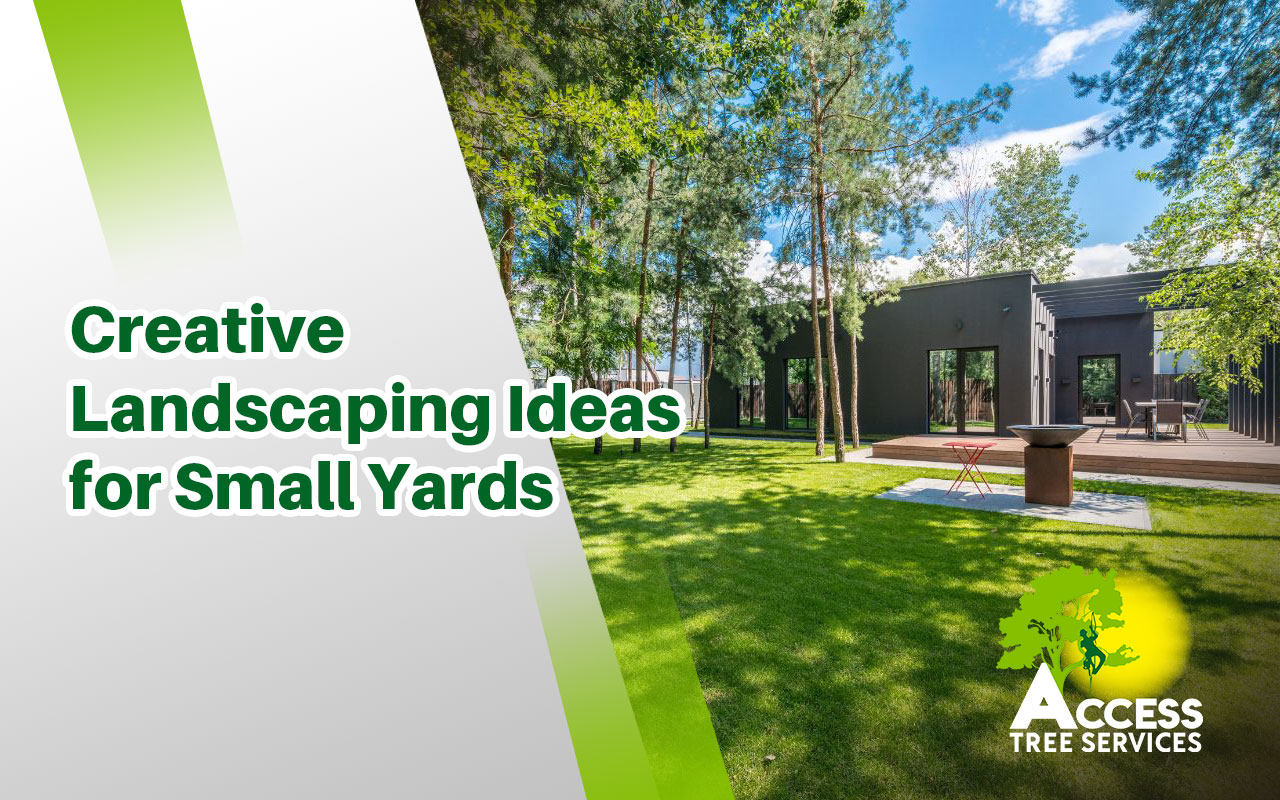 Defined garden edging with stone borders in a small front yard