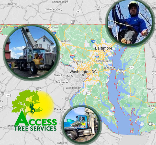 Now Covering More than 5 Counties in Maryland