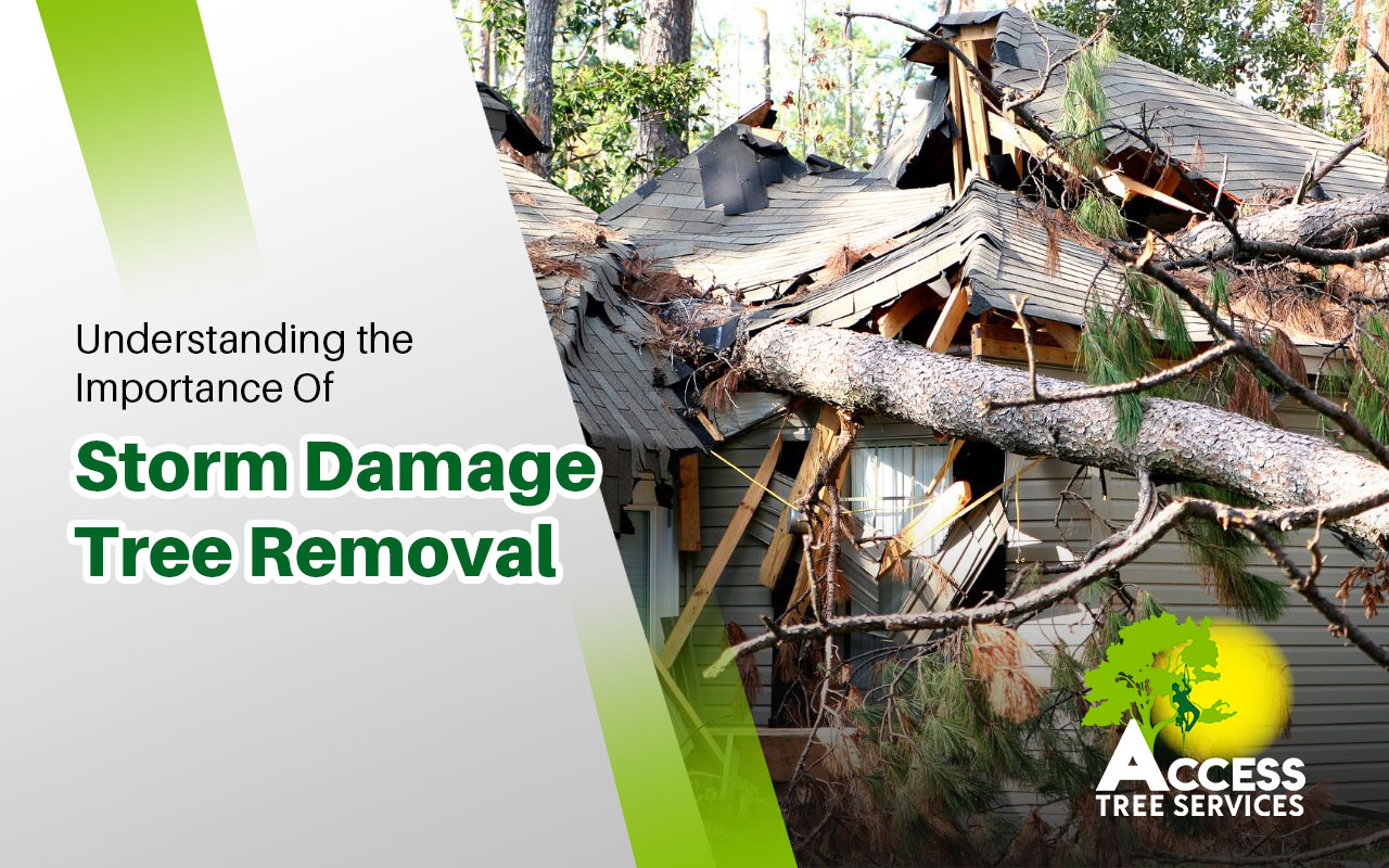 importance of storm damage tree removal