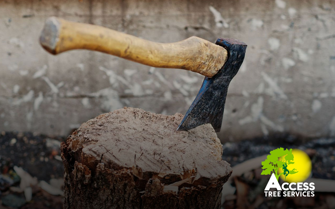 professional, efficient stump grinding services.