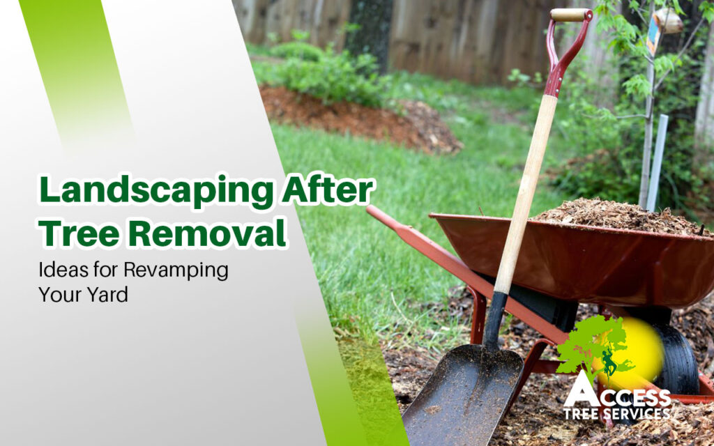 Landscaping After Tree Removal: Revamp Your Yard Now