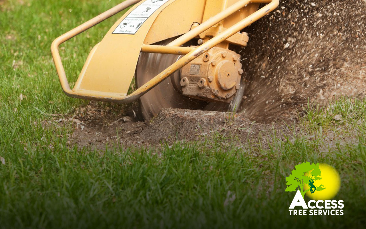 Stump grinding process showing a machine at work.