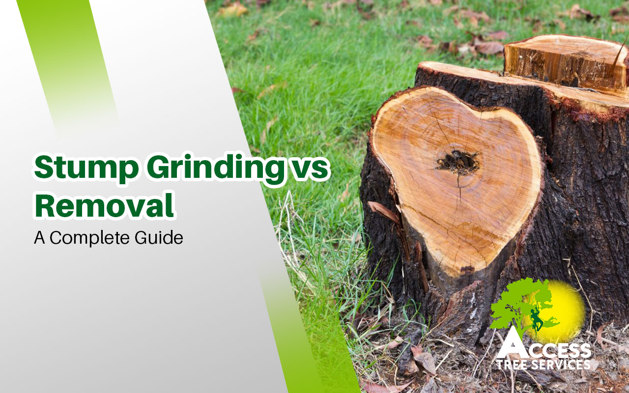 Comparing stump grinding vs removal techniques.