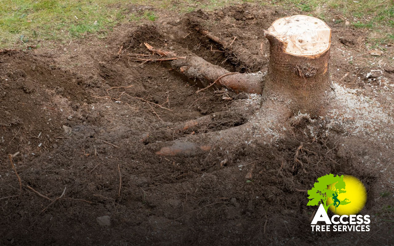 Stump removal.