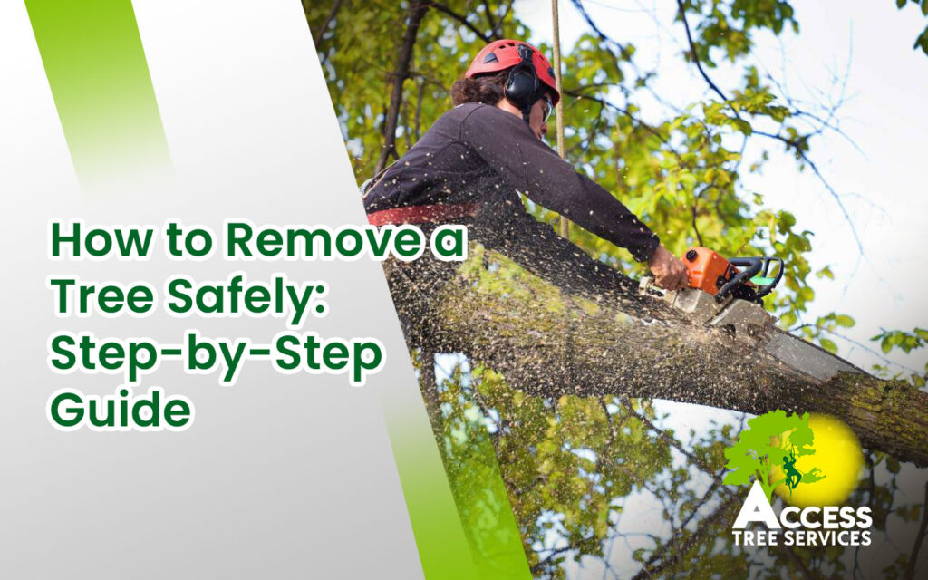 How to remove a tree safely: A step-by-step guide