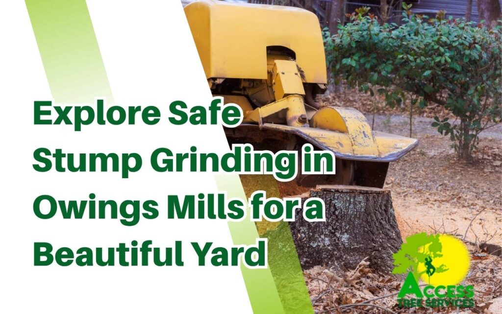 Stump Grinding Owings Mills for a Safe, Beautiful Yard