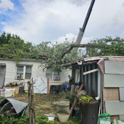 Tree Services - Access Tree Services LLC