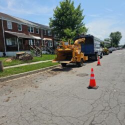 Tree Services - Access Tree Services LLC