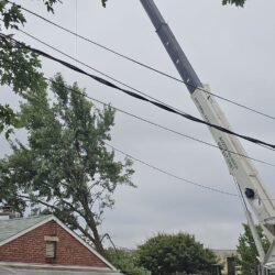 Tree Services - Access Tree Services LLC