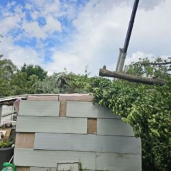 Tree Services - Access Tree Services LLC