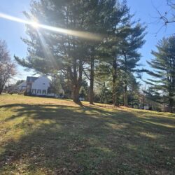 Tree Services - Access Tree Services LLC