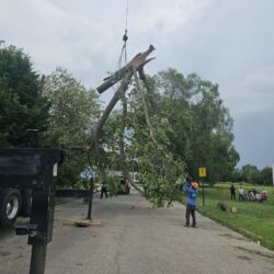 Tree Services - Access Tree Services LLC