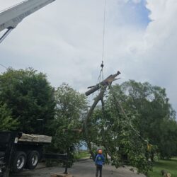 Tree Services - Access Tree Services LLC