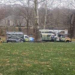 Tree Services - Access Tree Services LLC