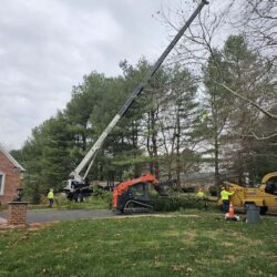 Tree Services - Access Tree Services LLC