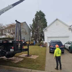 Tree Services - Access Tree Services LLC