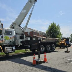 Tree Services - Access Tree Services LLC