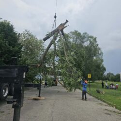 Tree Services - Access Tree Services LLC