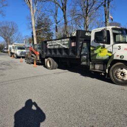Tree Services - Access Tree Services LLC