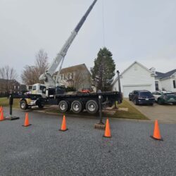Tree Services - Access Tree Services LLC