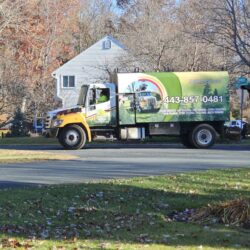 Tree Services - Access Tree Services LLC
