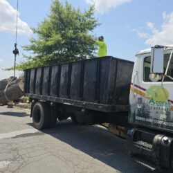 Tree Services - Access Tree Services LLC