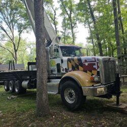 Tree Services - Access Tree Services LLC