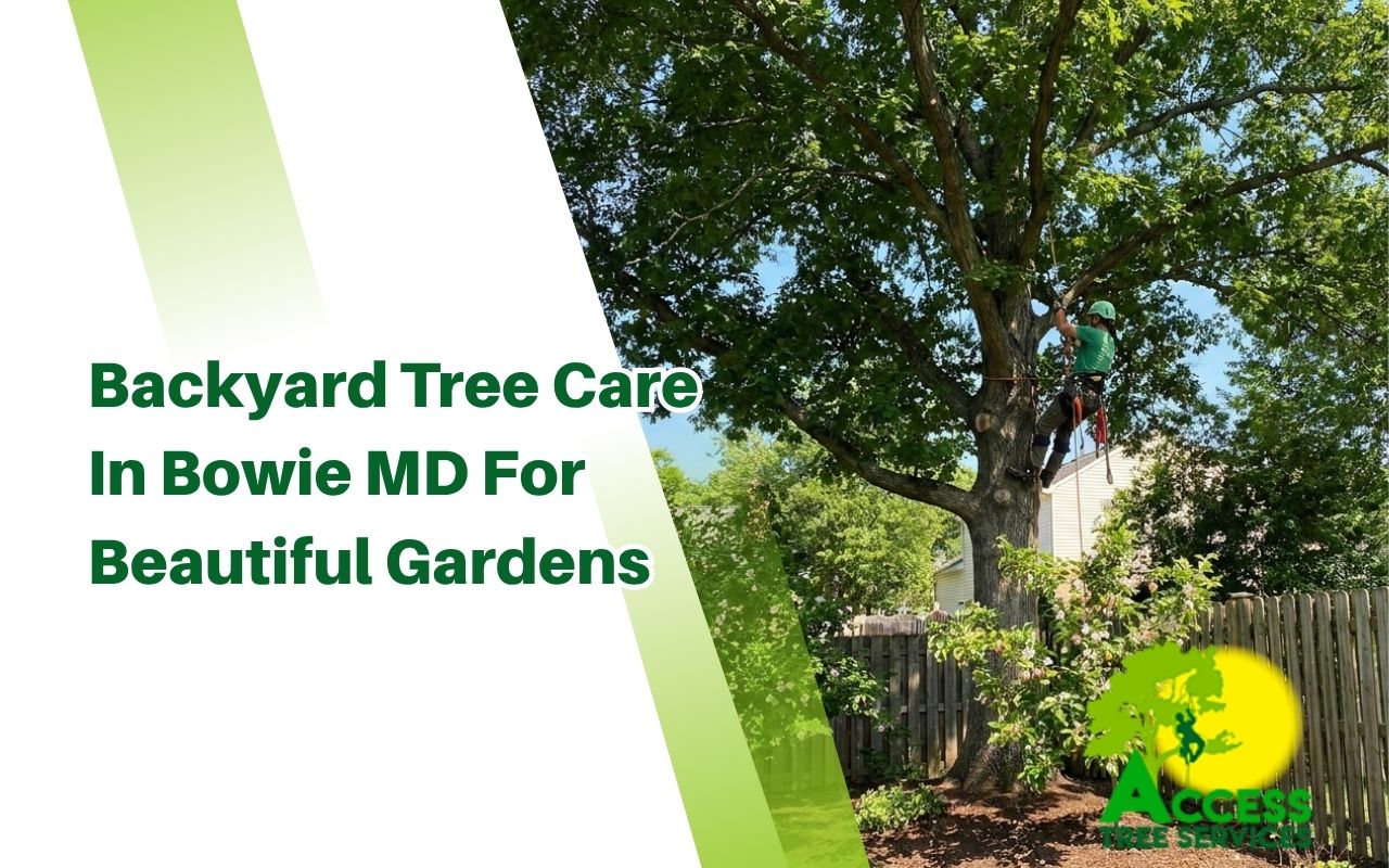 Backyard tree care in Bowie MD for healthy garden trees