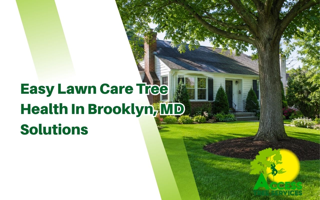 Healthy yard showing lawn care tree health in Brooklyn, MD