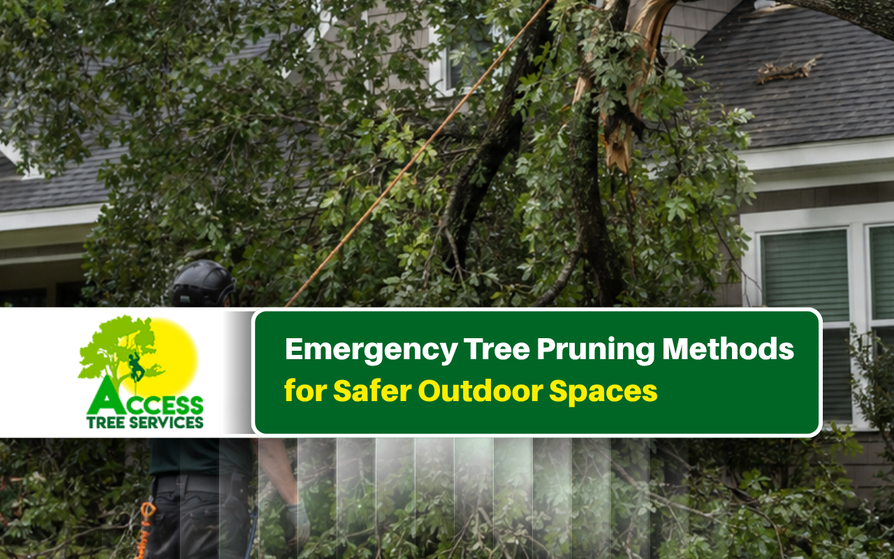 Emergency tree pruning for damaged branches near a home