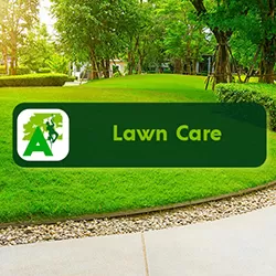 Lawn Care Service - Homepage