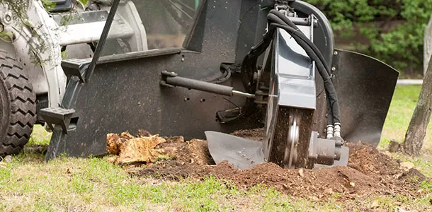 Unlock the Hidden Potential of Your Landscape with Expert Stump Grinding Services in Baltimore, MD